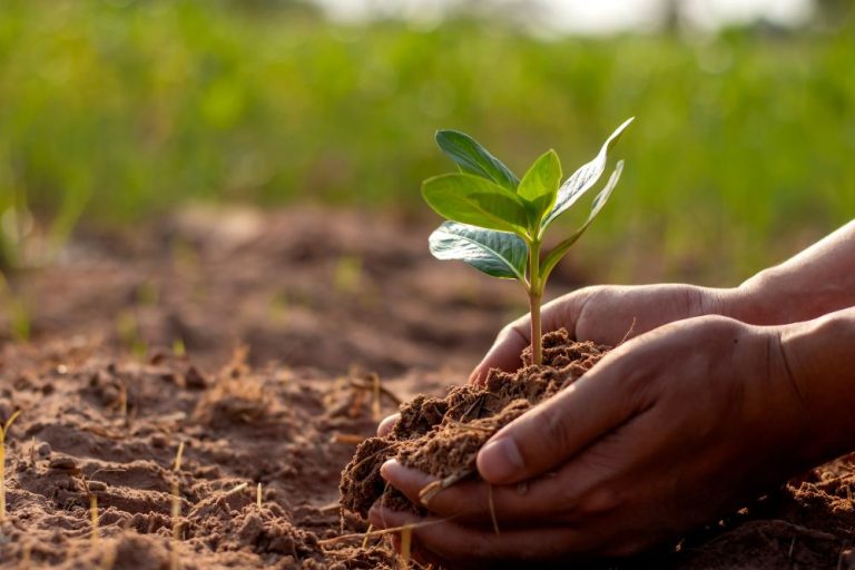 What Are Environmental Consulting Services UK