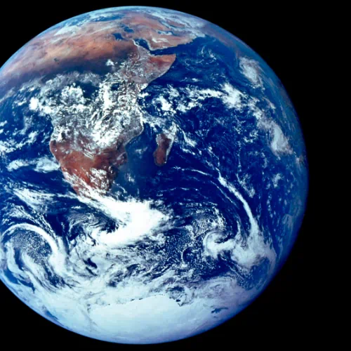 Understanding Environmental Consulting Services