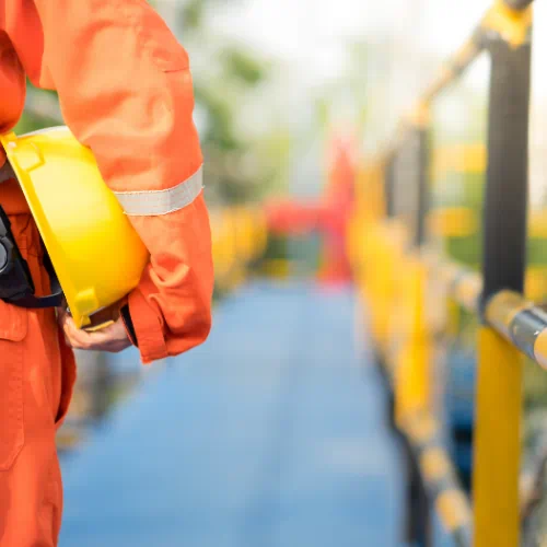 What is an HSE consultant?