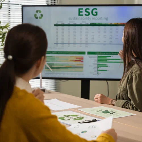Understanding Environmental Consulting Services
