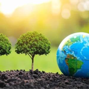 What qualifications do I need to be an environmental consultant?