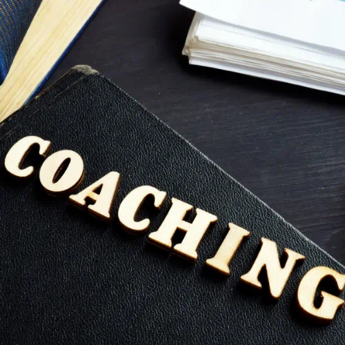 What is a word for competent person?