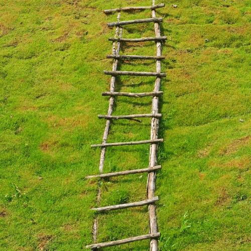Who should inspect ladders for defects?