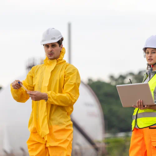 Who are the big four in auditing?